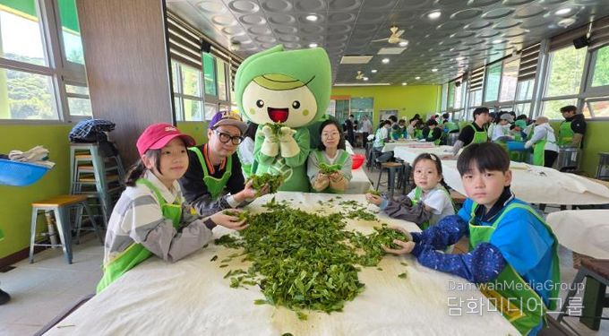 보성다향대축제! 문화관광축제 연속 지정 · 전남 대표 ‘우수축제’ 선정_제48회 보성다향대축제(2025)