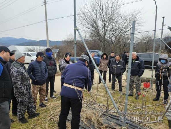 지난 23일 곡성군 겸면에 소재한 농가에서 사과 다축 동계전정 현장 교육이 진행되고 있다.