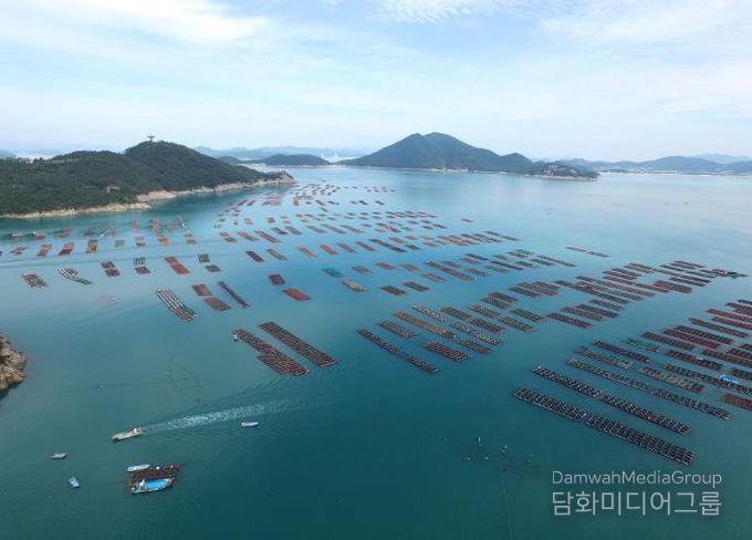 완도 전복 양식장 전경