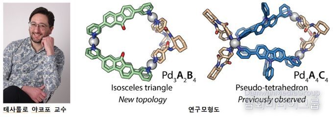 전남대 연구진, 단순 나노 구성 요소로 복잡한 비대칭 구조 구현