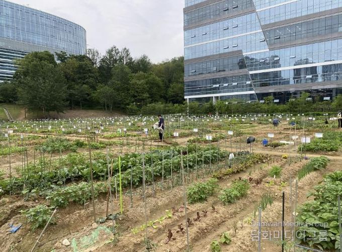 갈매텃밭(갈매동 552-9, 552-10번지, 성은교회 옆)