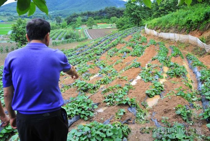 순창군, 유해야생동물 피해 농작물 보상 실시…최대 300만 원 지원