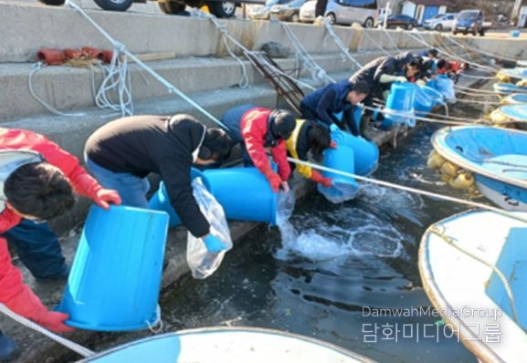 대구 자어방류 광경 (2025년)