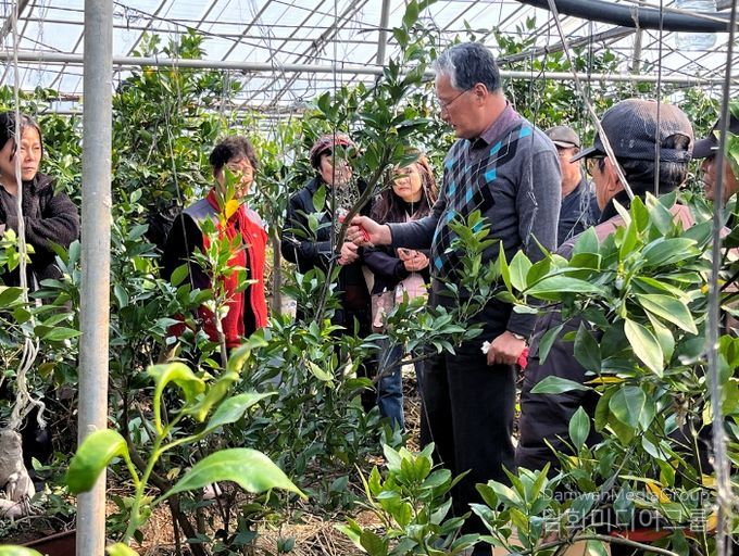 여수시, 고품질 과실 생산을 위한 정지·전정 현장 교육