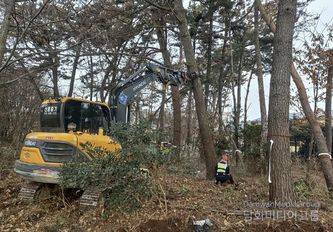 26년 2월 남면 소나무재선충 피해목 제거 작업하는 모습.