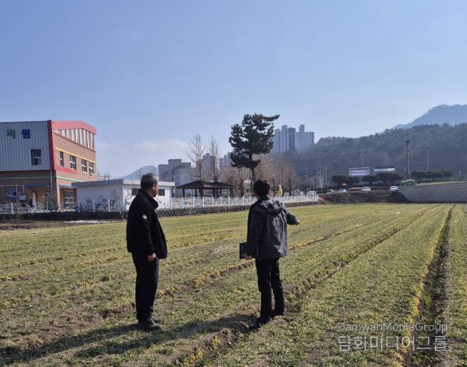 사천시, 맥류 월동 후 재배관리 철저 당부