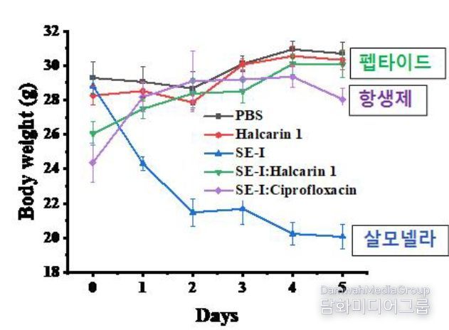 주요 연구 결과(체중 변화)