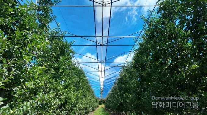 무주군 사과농장 햇빛 차광망