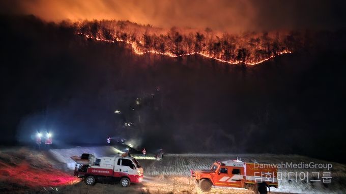 예산군 대술면 산불