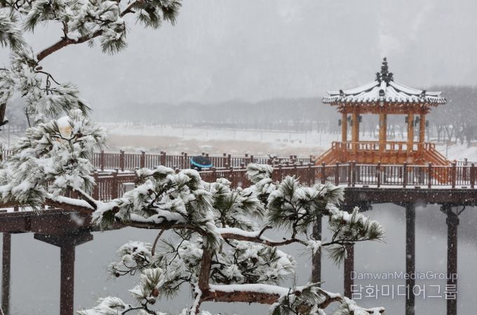 24일 충북 괴산군 에코브릿지에 눈이 내려앉아 겨울 설경을 연출하고 있다.