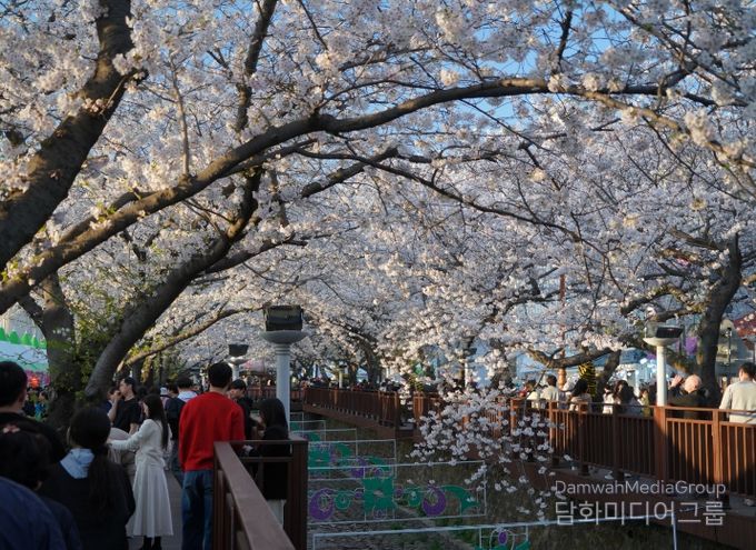 대표 봄 축제 진해군항제, 문체부 예비축제 지정