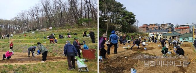 은평구 친환경 나눔텃밭 활동 모습