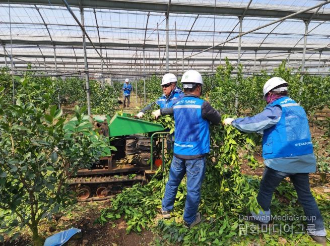 영농부산물 안전처리 파쇄단 활동(2025년)