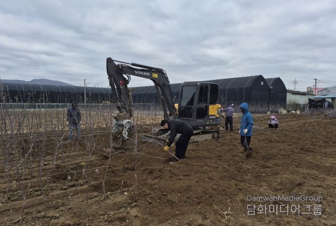 새봄 맞은 경산묘목시장, 출하 본격화로 활기 회복
