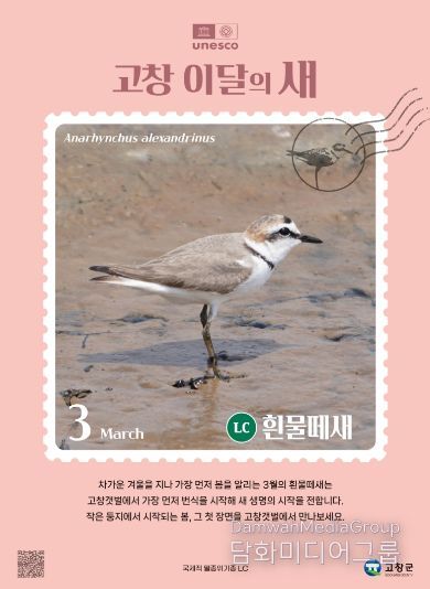 고창갯벌 3월 이달의새(흰물떼새 홍보자료)