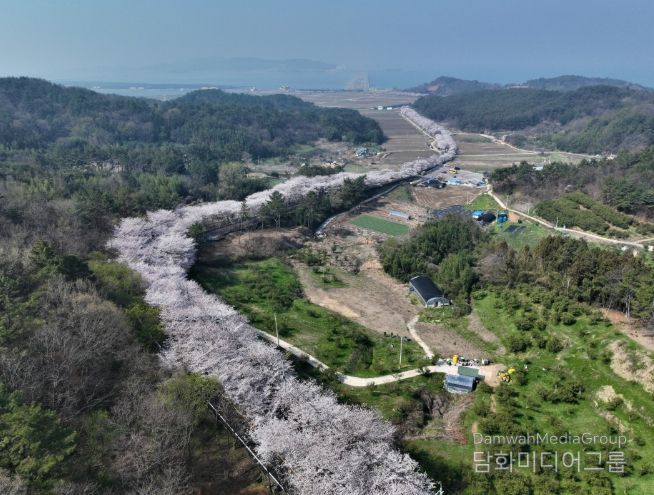 3월, 봄바람 따라 떠나는 고흥 여행