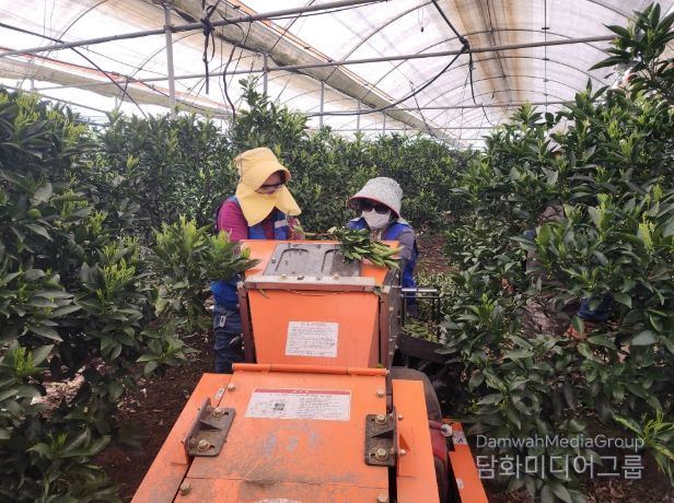 농번기 파쇄기 사용