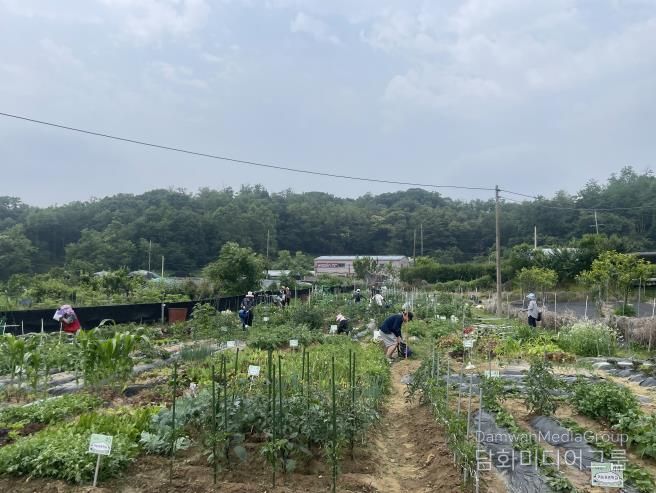 구로구 귀농·귀촌교육 수강생들이 텃밭에서 작물 재배 실습을 하고 있다.