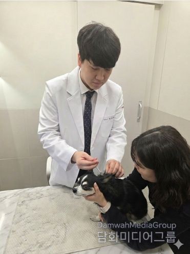 봄철 반려견 광견병 예방접종