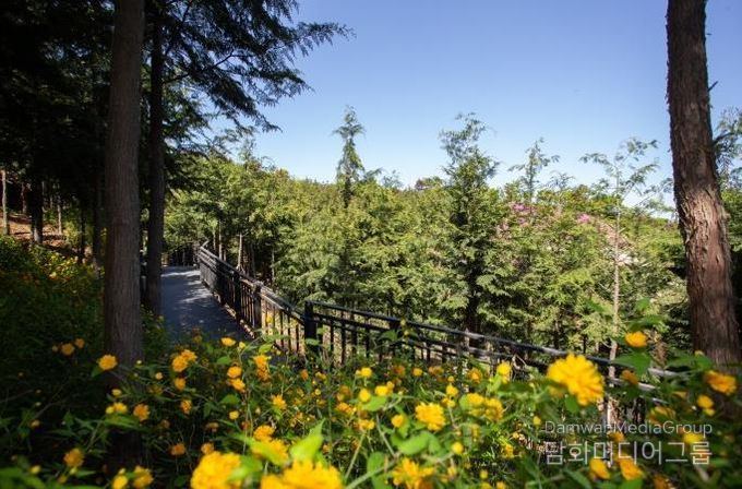 봉산 무장애숲길 모습