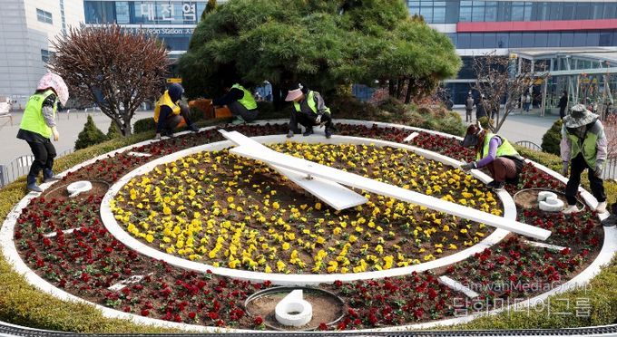 대전역 서광장 봄꽃 식재