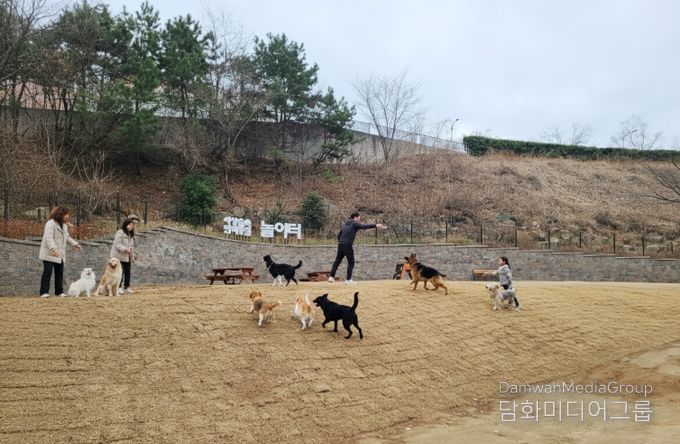 사상숲속반려동물 놀이터