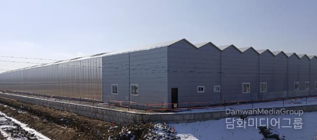 조성 현장 전경