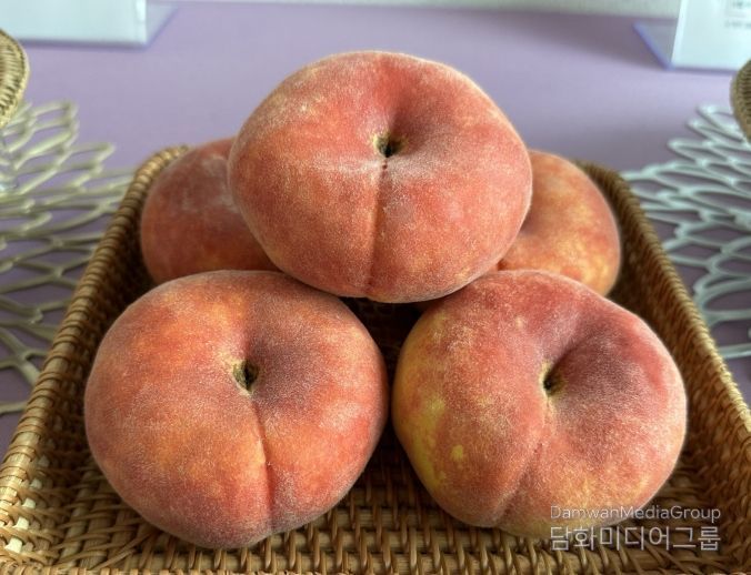 경북농업기술원, 복숭아 2가지 신품종 품종보호출원