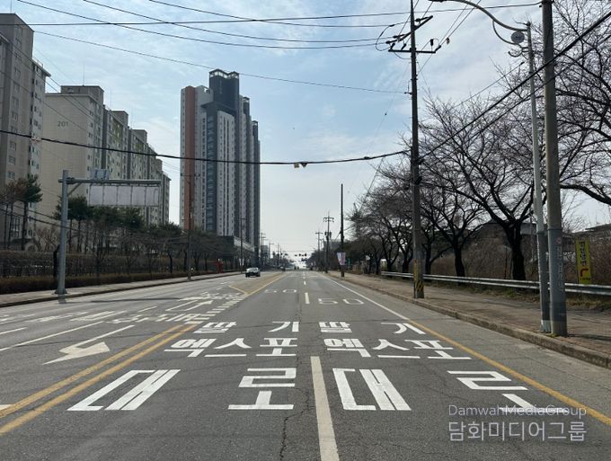 ‘세계 딸기 수도’로 가는‘딸기엑스포대로’ 새 단장