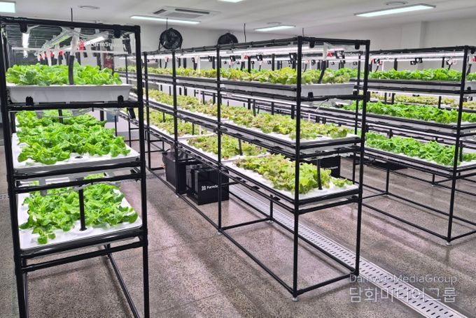 노인일자리 스마트팜 ‘우영뜨락’