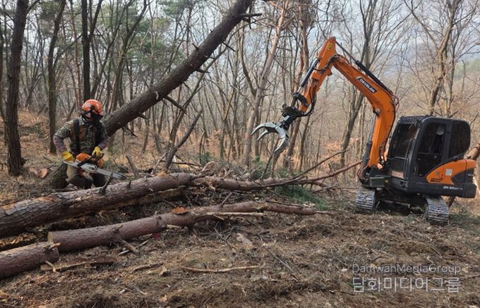 소나무재선충병 방제사업 현장사진