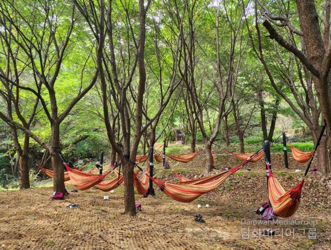 증평 좌구산 자연휴양림, 한국관광공사 우수 웰니스 관광지 재지정