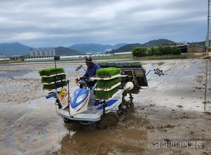 벼 재배농가 완효성 비료 지원