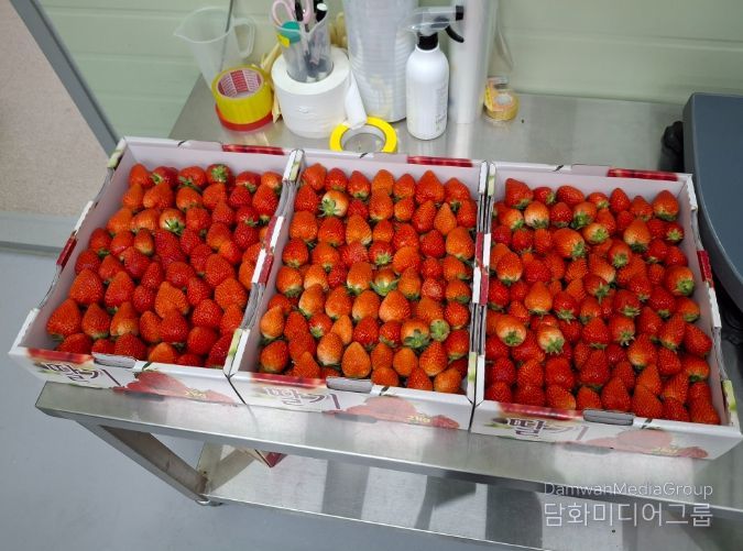 스마트팜 딸기 기부로 지역사회 온기 더하다