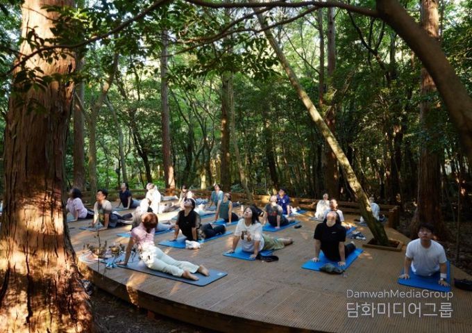 숲 요가