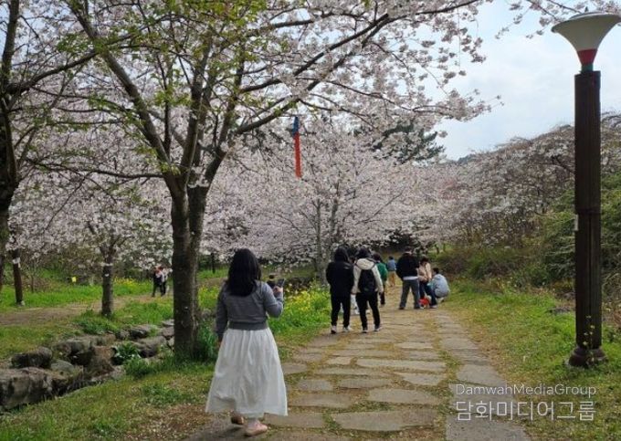 예래 사자마을 봄꽃 나들이