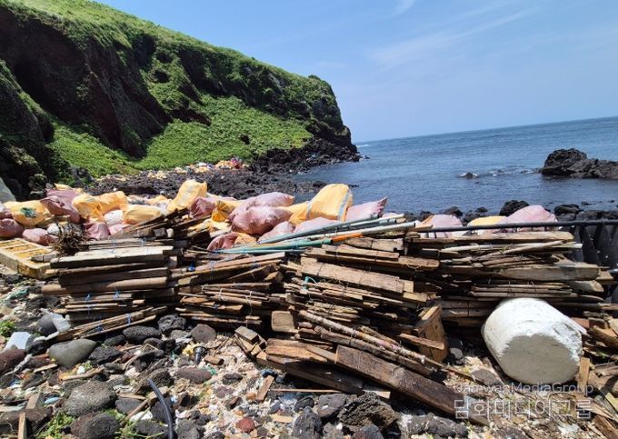 해양 정화 활동