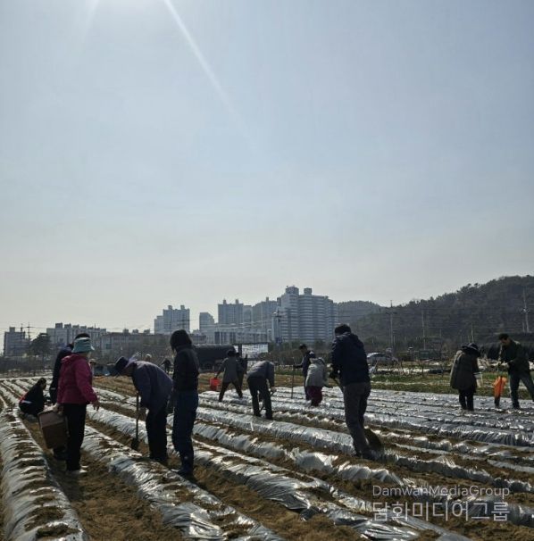 시흥시 신현동 통장협의회, '이웃돕기 감자 심기' 행사 진행