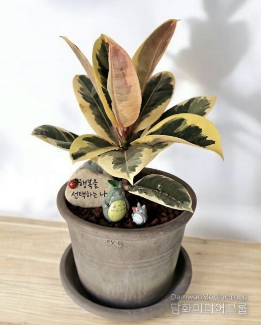 현재 성찰그룹의 완성품