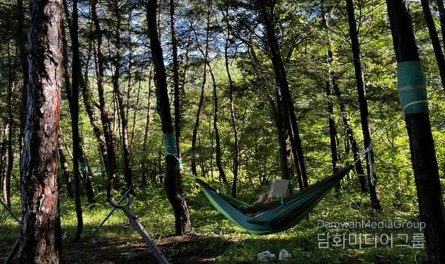 산림치유프로그램 운영 사진. 국립나주숲체원 화순치유의숲 제공