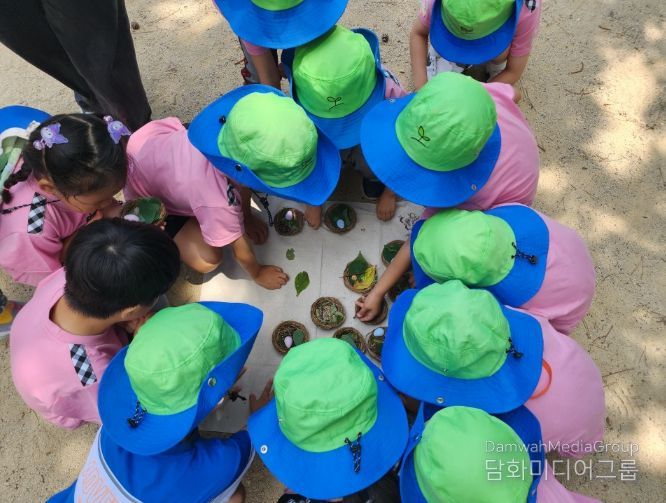 남산유아숲체험원에서 배워요