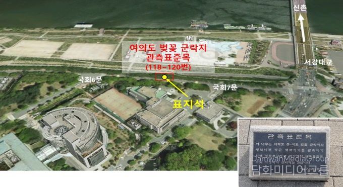 여의도 윤중로 벚꽃 군락 단지 관측 장소