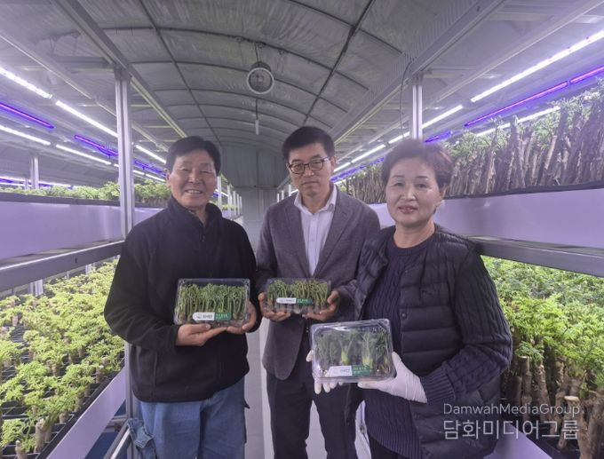 충주시, 두릅 수직 다단재배 기술 시범사업 추진