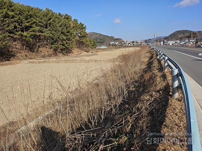 해룡면 남가리 월전2교차로부터 남가교까지 약 1km 구간에 배롱나무 식재