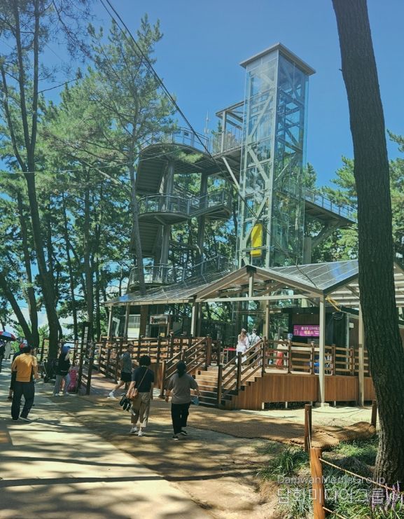 서천군, 장항스카이워크 운영시간 연장