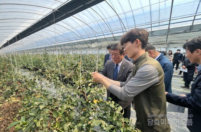 곡성군 관계자들이 블루베리 농가를 찾아 현장의 애로사항을 청취하고 있다.