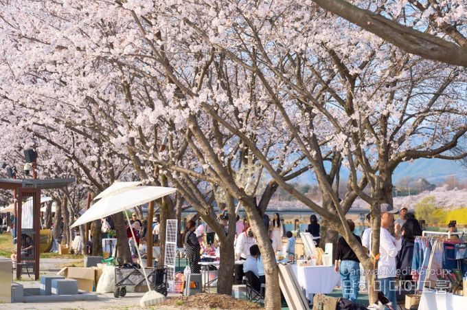 2026 제4회 구례300리 벚꽃축제