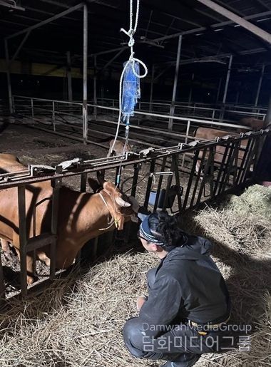 영암군, 가축 난산 대응“야간·휴일 공수의 응급대기 지원사업”추진