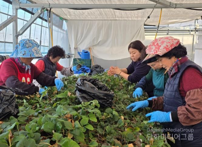 여성농업인 활동 사진