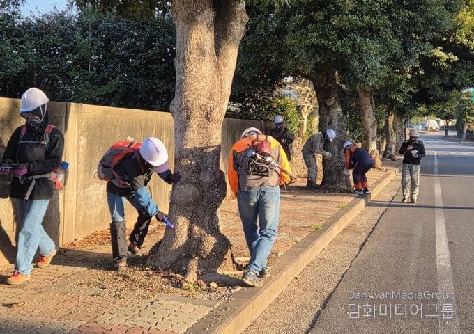 가로수 수간주사 도입 병해충 방제